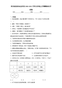 河北省沧州市孟村县2020-2021学年九年级上学期期末化学试题（word版 含答案）