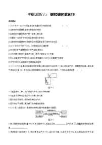 2021中考化学福建专版 专题练习  主题训练(06)　碳和碳的氧化物（含解析）