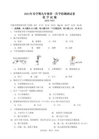 2021年江苏省盐城市亭湖区中考一调化学试题