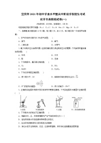 四川省宜宾市2021年初中学业水平暨高中阶段学校招生考试化学全真模拟试卷（一）