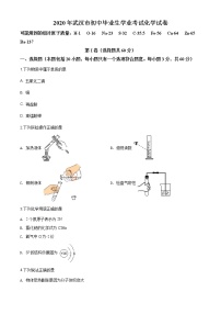 湖北省武汉市2020年中考化学试题（原卷版+解析版）