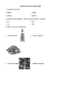 四川省泸州市2020年中考化学试题（原卷版+解析版）