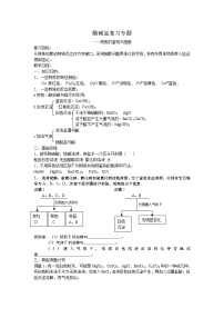 鲁教版九年级化学专题复习   质的鉴别与推断 导学案（无答案）