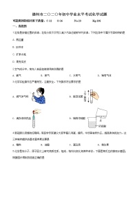 山东省德州市2020年中考化学试题（原卷版+解析版）