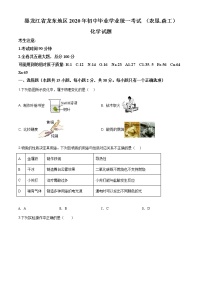 黑龙江省龙东地区2020年中考化学试题(农垦.森工)（原卷版+解析版）