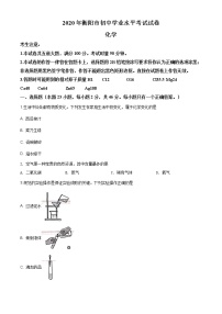 湖南省衡阳市2020年中考化学试题（原卷版+解析版）