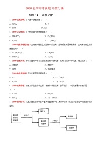 2020年中考化学真题分项汇编--专题14  盐和化肥（全国通用）