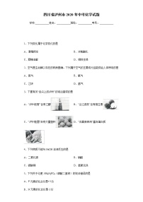 四川省泸州市2020年中考化学试题