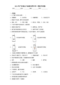 2021年广东省江门市新会区中考一模化学试题（word版 含答案）