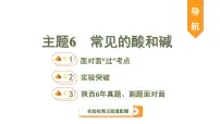 中考化学一轮复习基础考点一遍过（课件+新题练）主题6　常见的酸和碱