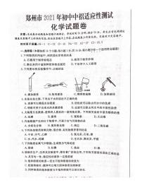 预约：河南省郑州市2020-2021学年九年级下学期二模化学试题（含答案）