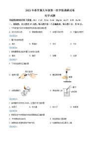 2021年江苏省盐城市亭湖区中考一调化学试题