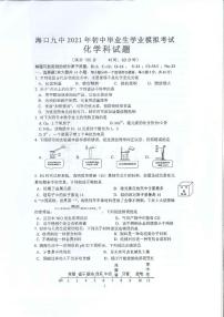 2021年海南省海口市九年级毕业生化学模拟考试题