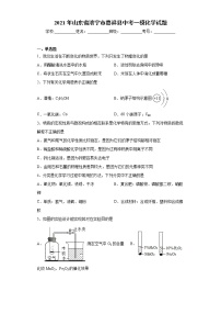 2021年山东省济宁市嘉祥县中考一模化学试题（word版 含答案）