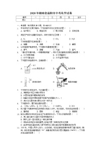 2020年湖南省益阳市中考化学试卷