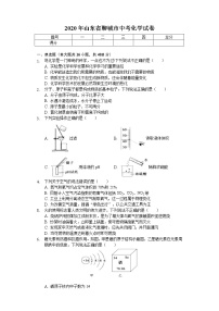 2020年山东省聊城市中考化学试卷