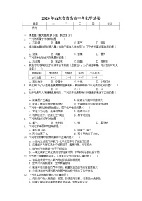 2020年山东省青岛市中考化学试卷