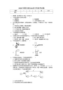 2020年四川省乐山市中考化学试卷