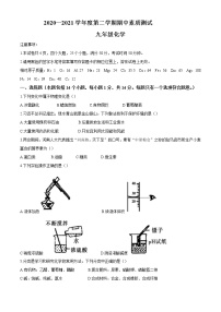 河南省驻马店市平舆县2020-2021学年九年级下学期期中化学试题