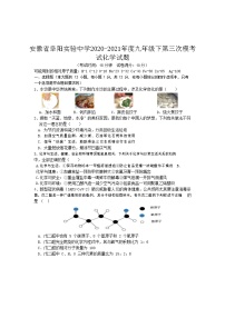 安徽省阜阳实验中学2020-2021年度九年级下第三次模考试化学试题5月份