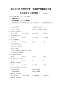 上海市长宁区2021届九年级上学期期末(中考一模）质量调研化学试卷（详解版）