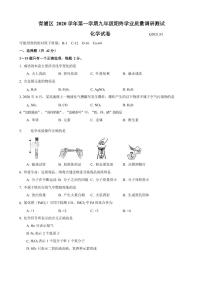 上海市青浦区2021届九年级上学期期末(中考一模）质量调研化学试卷（详解版）