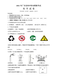 2021年广东省惠州市惠东县初中毕业模拟考试化学试题