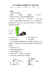 2021年安徽省六安市霍邱县中考一模化学试题（word版 含答案）