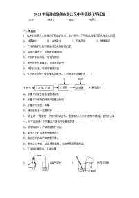 2021年福建省泉州市洛江区中考模拟化学试题（word版 含答案）