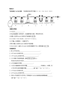 初中化学沪教版 (上海)九年级第二学期5.2 酸和碱的性质研究精练