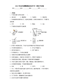2021年山东省聊城临清市中考一模化学试题(word版 含答案)