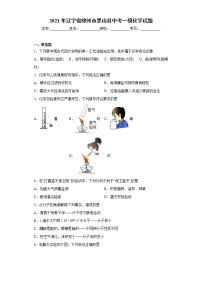 2021年辽宁省锦州市黑山县中考一模化学试题(word版含答案）