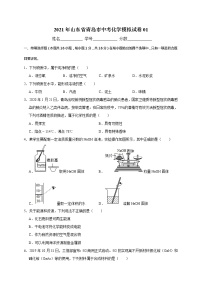 2021年山东省青岛市中考化学模拟试卷01