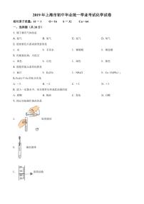 2019年上海市中考化学真题试卷 详解版