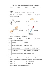 2021年广东省汕头市潮阳区中考模拟化学试题（word版 含答案）