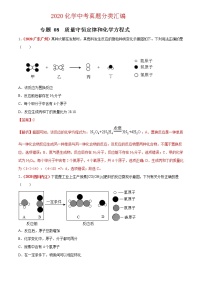 2021年化学中考真题分类汇编详解通用卷 专题08 质量守恒定律和化学方程式（3）