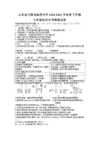 2021年山东省日照市九年级化学中考模拟试卷