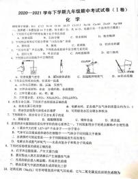 河南省郑州市十九中2020-2021学年九年级下学期期中考试化学试卷及答案