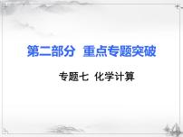 中考化学复习7.专题七  化学计算