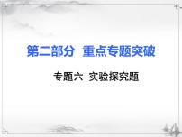 中考化学复习6.专题六  实验探究题