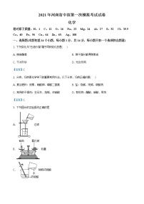 2021年河南省驻马店市中考一模化学试题