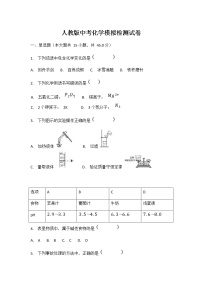 人教版中考化学模拟检测试题试卷及答案解析