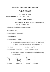 山东省聊城临清市2020-2021学年九年级上学期期末考试化学试题（word版 含答案）