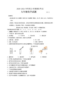 山东省临沂市临沭县2020-2021学年九年级上学期期末考试化学试题（word版 含答案）