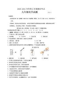 山东省临沂市临沭县2020-2021学年九年级上学期期末考试化学试题(word版 含答案)