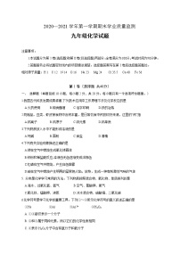 山东省潍坊安丘市2020-2021学年九年级上学期期末考试化学试题（word版 含答案）