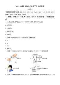 湖南省邵阳市2021年中考化学试题及答案解析 (原卷+解析卷)