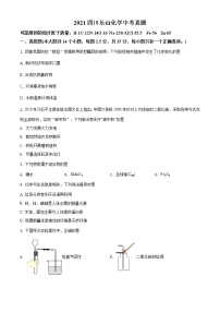 四川省乐山市2021年中考化学试题及答案解析 (原卷+解析卷)