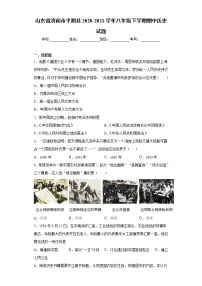 山东省济南市平阴县2020-2021学年八年级下学期期中历史试题（word版 含答案）