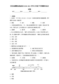 河北省邯郸市临漳县2020-2021学年七年级下学期期中历史试题（word版 含答案）